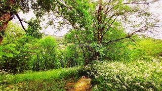  Maison � vendre 4 pi�ces 52 m�