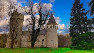  Propri�t�/ch�teau � vendre 15 + pi�ces 300 m�