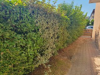  Appartement � vendre 1 pi�ce 29 m�