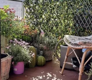  Appartement � vendre 4 pi�ces 91 m�