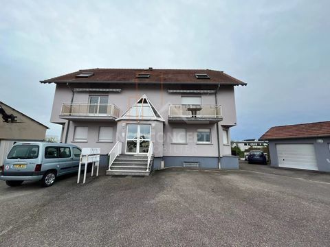 Commerce 50 67620 Soufflenheim