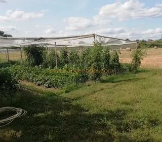  Maison � vendre 3 pi�ces 117 m�