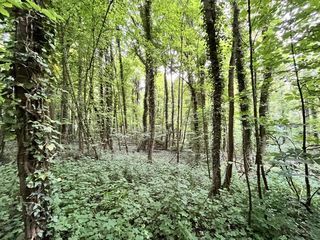  Terrain � vendre 26235 m�