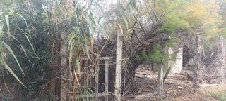  Terrain � vendre 252 m�