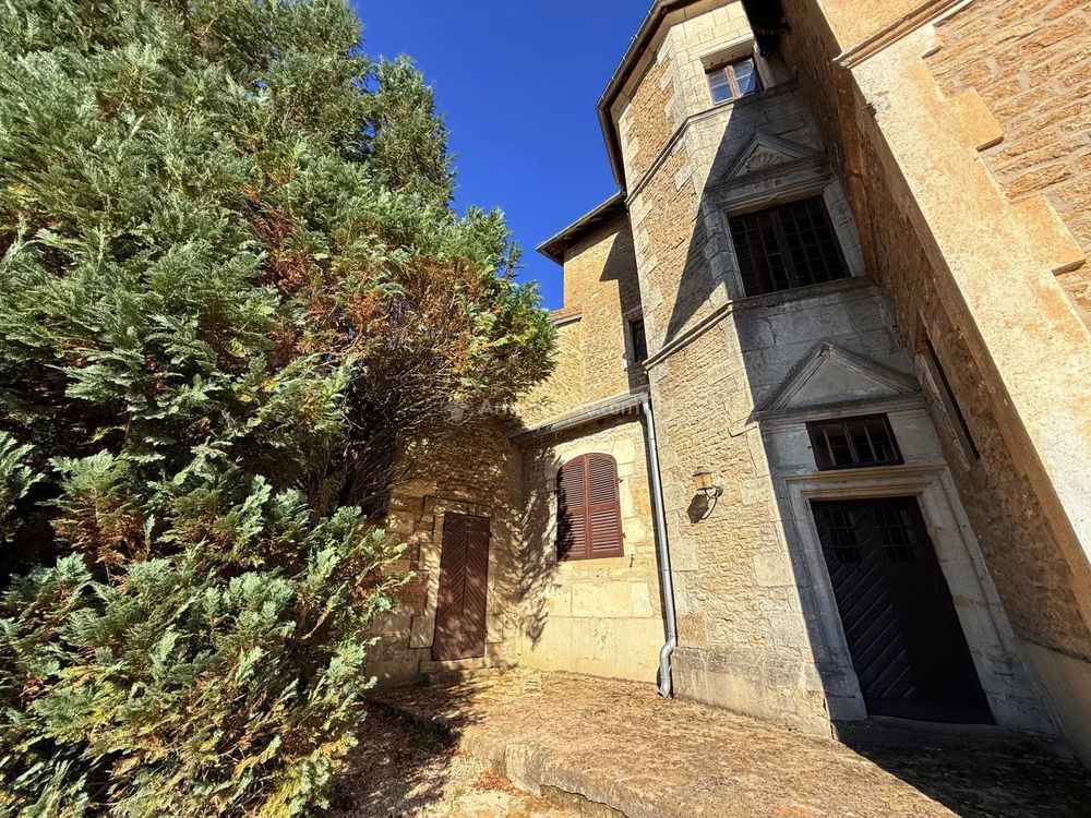 � vendre  Propri�t�/ch�teau Manois (52700)