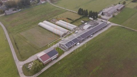 Local commercial 1800 67500 Haguenau