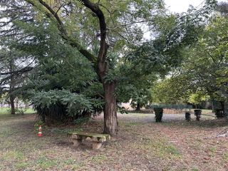  Appartement � vendre 5 pi�ces 64 m�