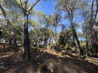  Terrain � vendre 3005 m�