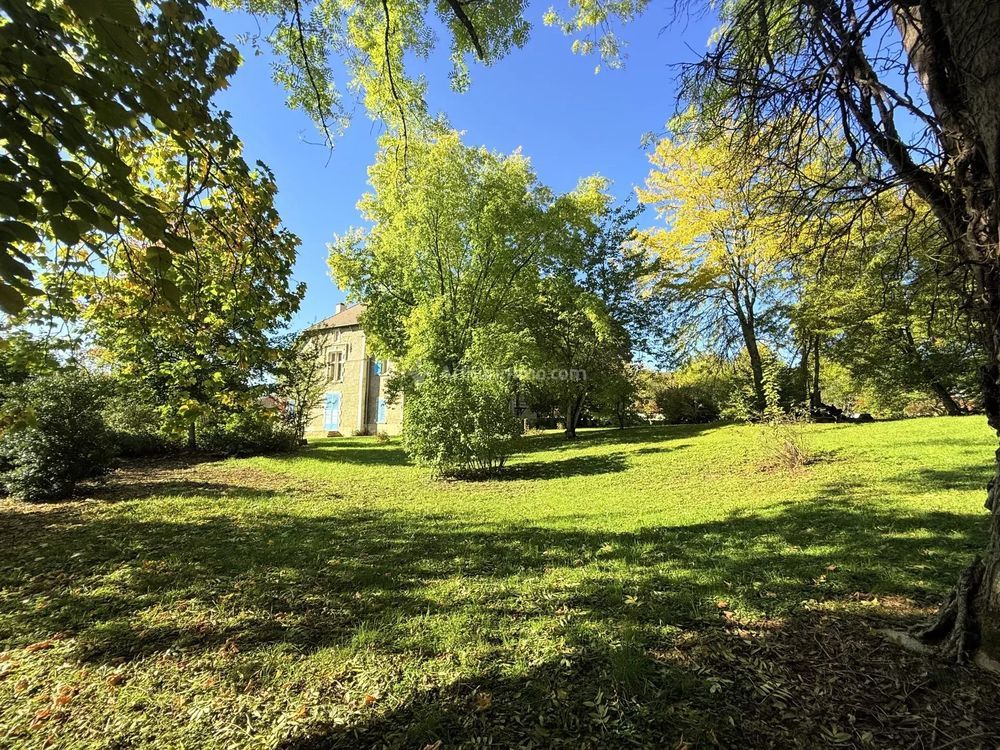 � vendre  Propri�t�/ch�teau Manois (52700)