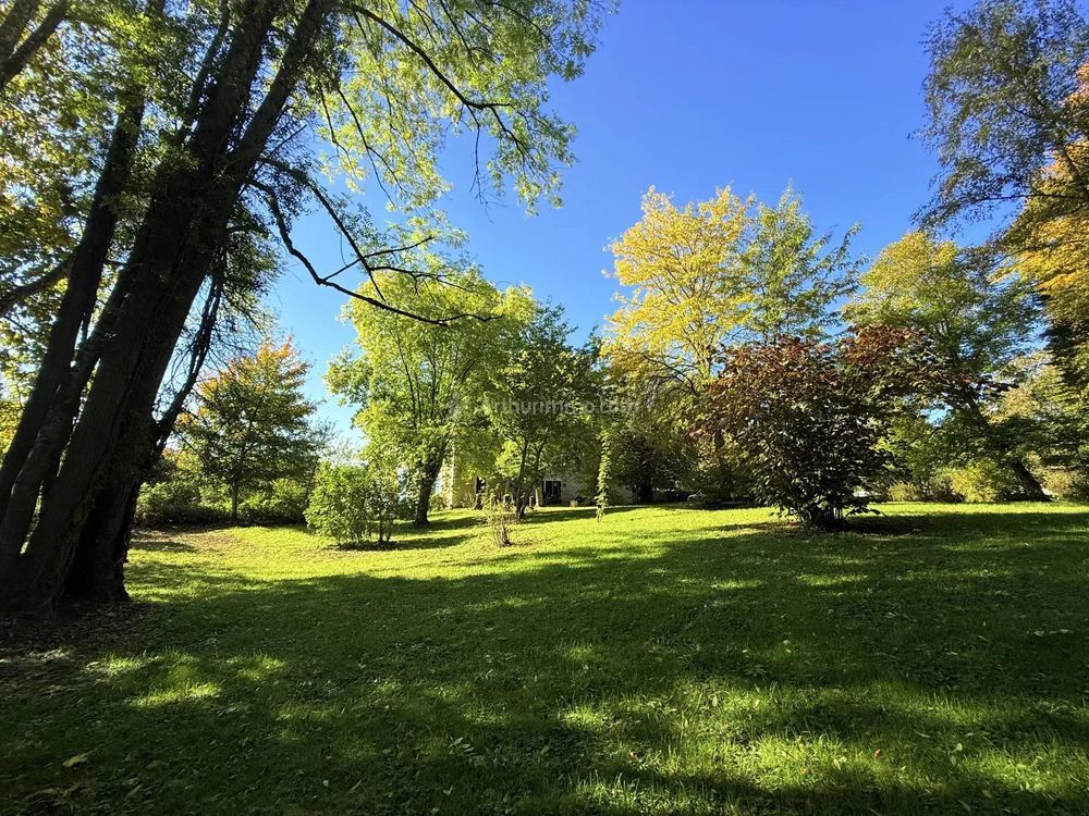 � vendre  Propri�t�/ch�teau Manois (52700)