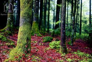  Terrain � vendre 4730 m�