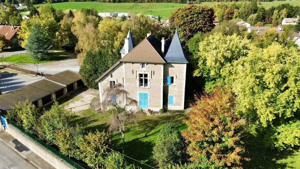 � vendre  Propri�t�/ch�teau Manois (52700)