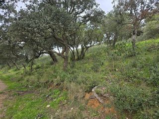  Terrain � vendre 27425 m�