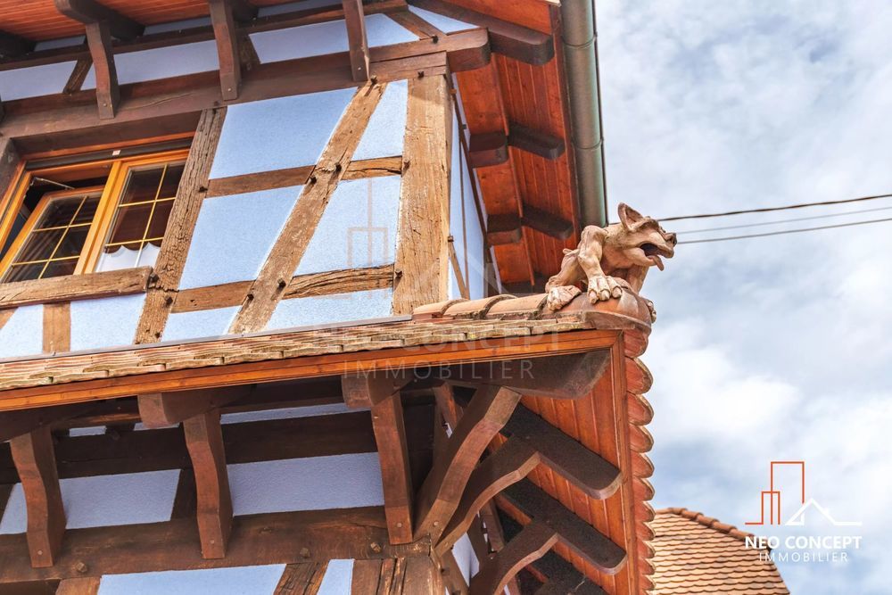 � vendre  Maison La Wantzenau (67610)