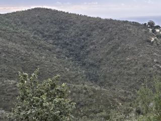  Terrain � vendre 67280 m�