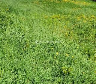  Immeuble � vendre 7 pi�ces 186 m�