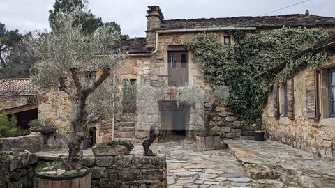   Propri�t� sur 7 hectares Maison - 15 + pi�ce(s) - 270 m�