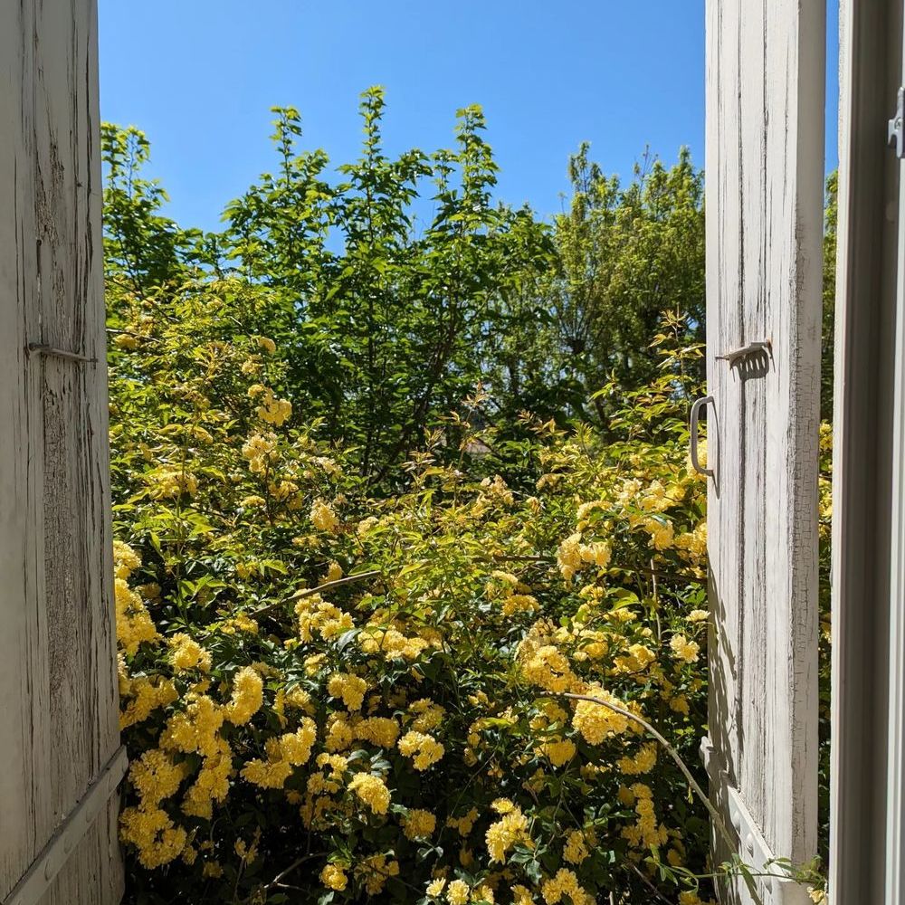 � vendre  Maison Orange (84100)