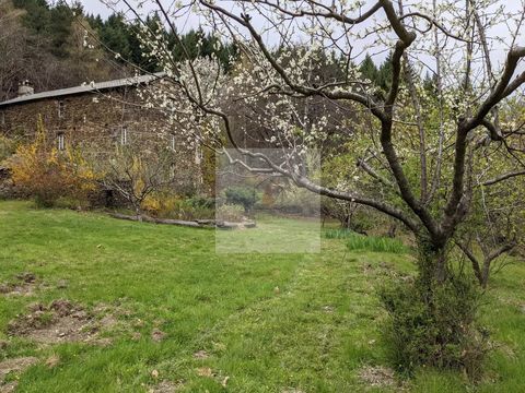   Maison en pierre avec terrain Maison - 10 pi�ce(s) - 453 m�