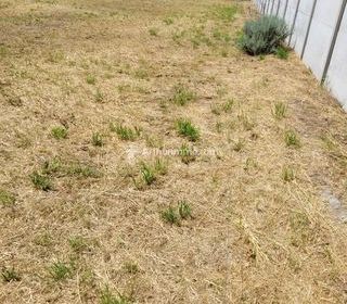  Terrain � vendre 555 m�