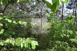  Terrain � vendre 1 pi�ce 2898 m�