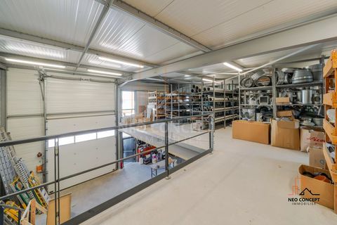 * ROPPENHEIM * Opportunit&eacute; rare de location d'un hall de stockag 1800 67480 Roppenheim