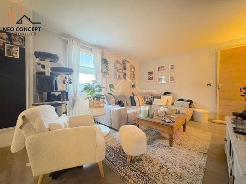   Maison individuelle de plain-pied 110 m� avec sous-sol complet � Maison - 4 pi�ce(s) - 108 m�