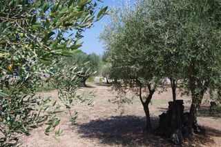  Terrain � vendre 1200 m�