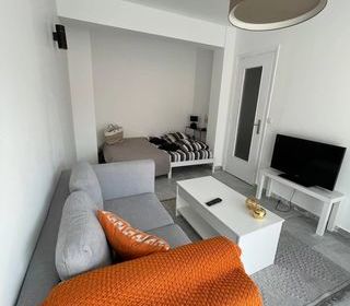  Appartement � vendre 1 pi�ce 30 m�