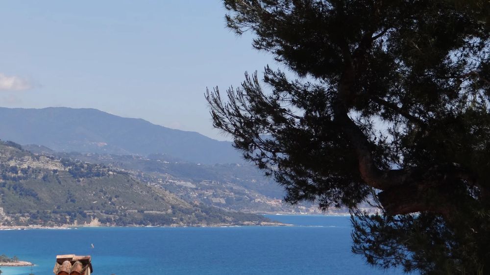 � vendre  Villa Roquebrune-Cap-Martin (06190)