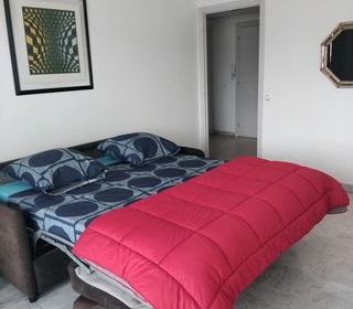  Appartement � louer 1 pi�ce 34 m�