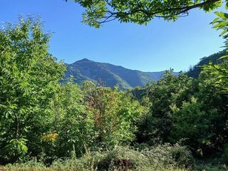  Maison � vendre 6 pi�ces 250 m�