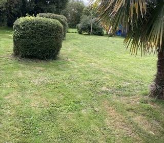  Maison � louer 3 pi�ces 66 m�