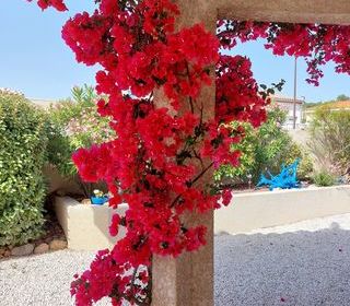  Maison � vendre 4 pi�ces 113 m�