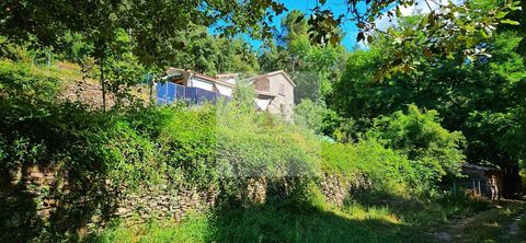   Belle maison en pleine nature Maison - 6 pi�ce(s) - 143 m�