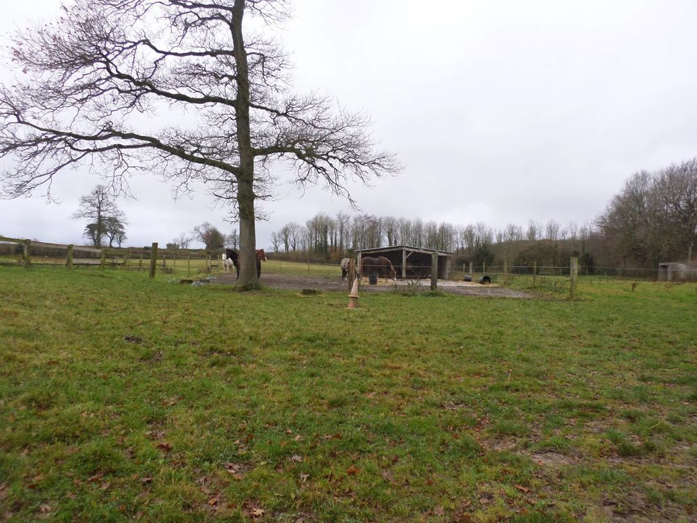 � vendre  Maison Saint-Martin-Choquel (62240)