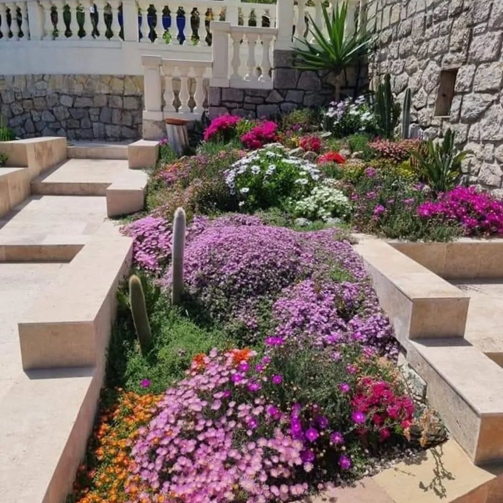 � vendre  Maison Vallauris (06220)