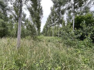  Terrain � vendre 81675 m�