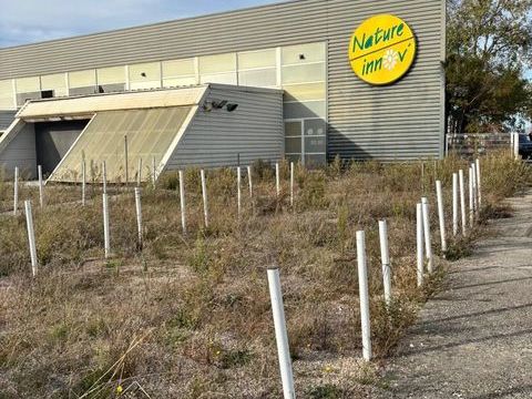 Local commercial 3950 66350 Toulouges