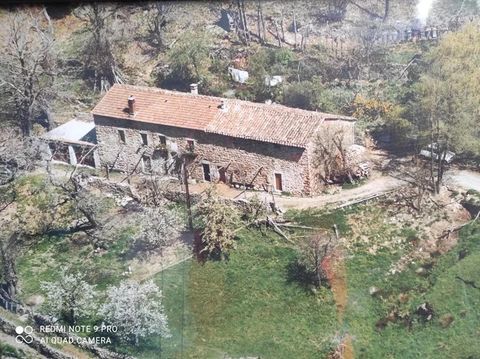   B�TISSE  en pierres � r�nover Maison - 6 pi�ce(s) - 250 m�