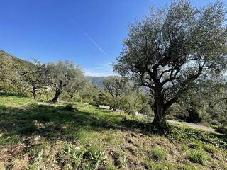  Terrain � vendre 1950 m�