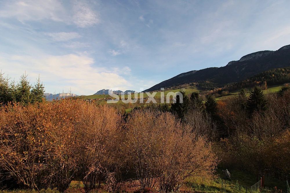 � vendre  Maison Saint-Jorioz (74410)