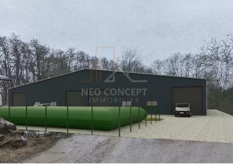 Local commercial 1896 67500 Haguenau