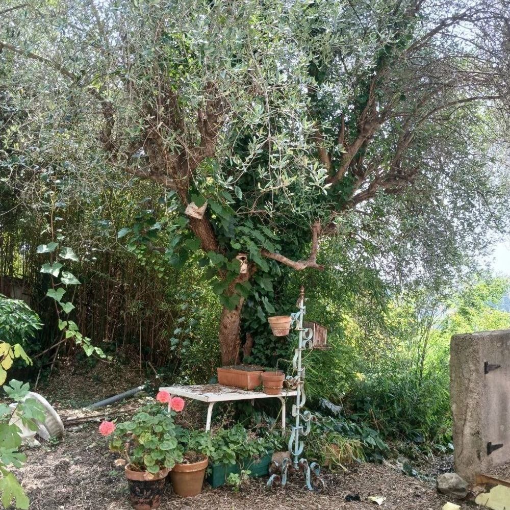 � vendre  Maison Nice (06000)