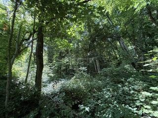  Terrain � vendre 3550 m�