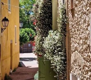  Appartement � vendre 2 pi�ces 63 m�