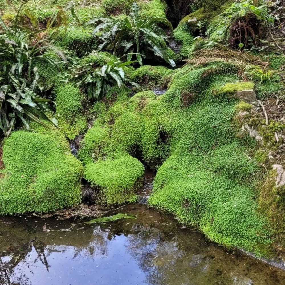 � vendre  Maison La Chartre-sur-le-Loir (72340)