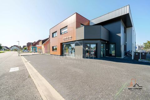 * ROPPENHEIM * Opportunit&eacute; rare de location de bureaux de 130 m&sup2; 1600 67480 Roppenheim