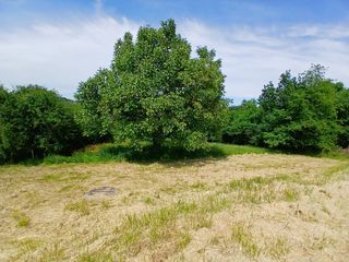  Maison � vendre 8 pi�ces 159 m�