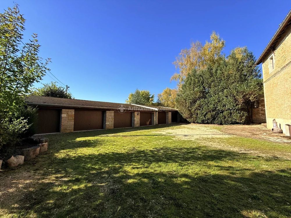 � vendre  Propri�t�/ch�teau Manois (52700)